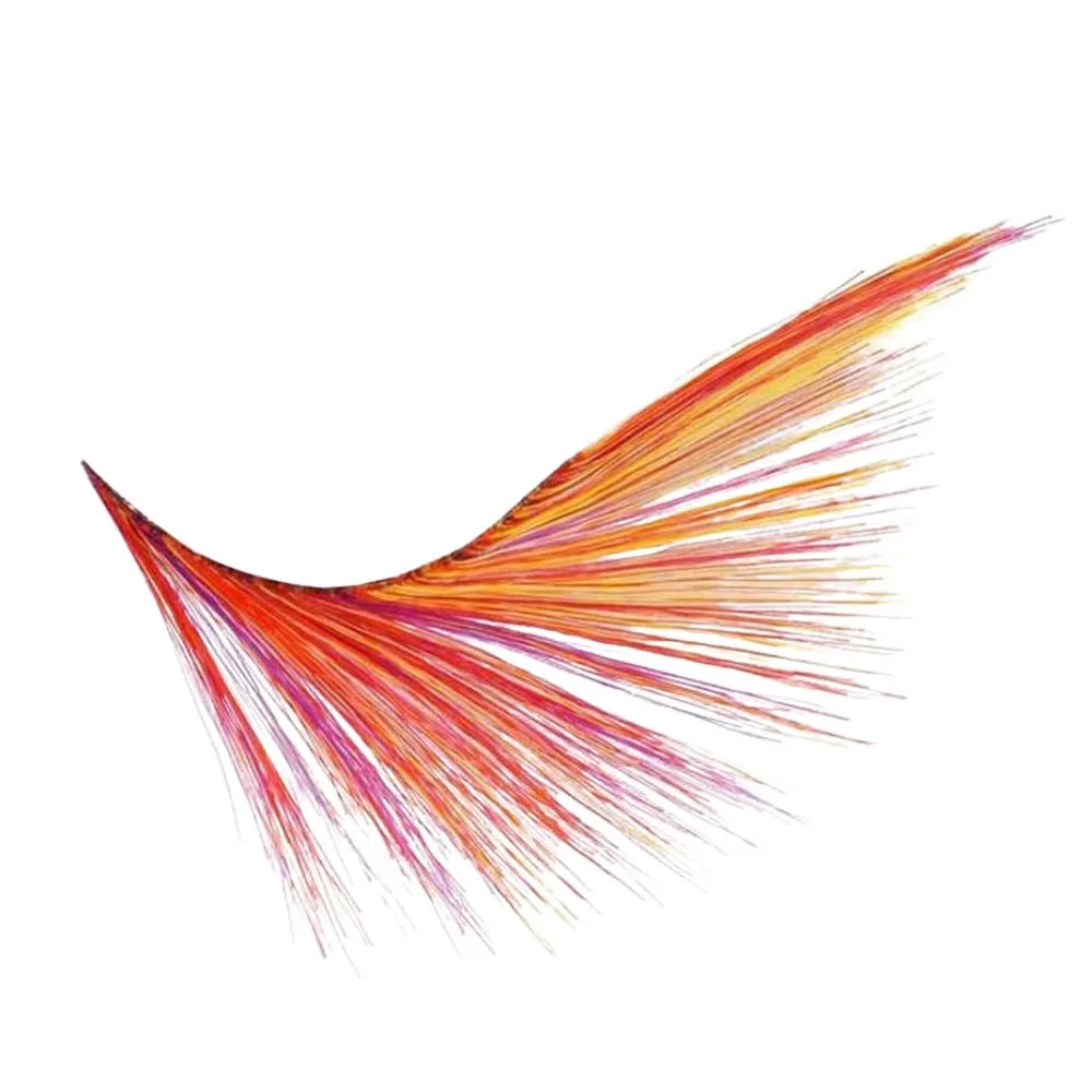 Kalentin Pestañas En Banda Fantasía Las Vegas